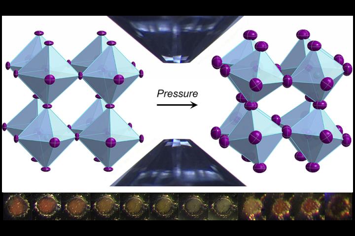 Perovskites under Pressure