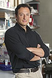 Alysson Muotri, UC San Diego School of Medicine