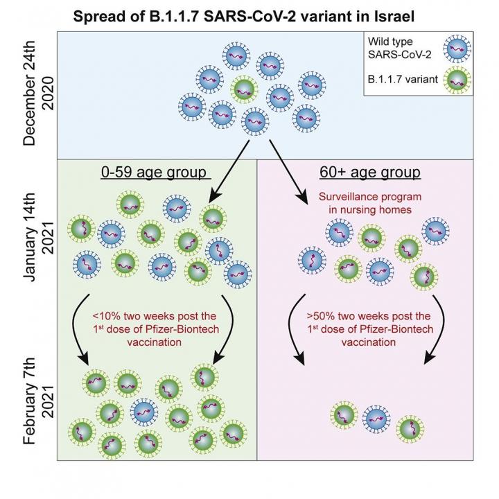 Spread of the British Variant in Israel