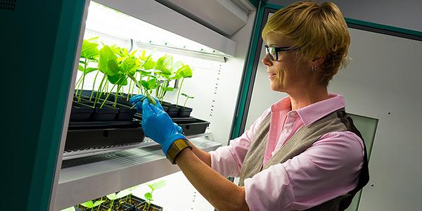 Professor Nicole Steinmetz