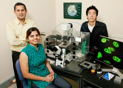 Prasanth, Tripathi, Song, University of Illinois at Urbana-Champaign