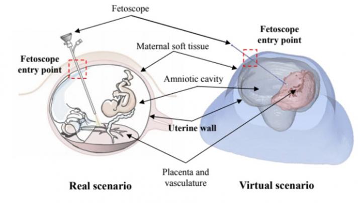 Fig. 1.