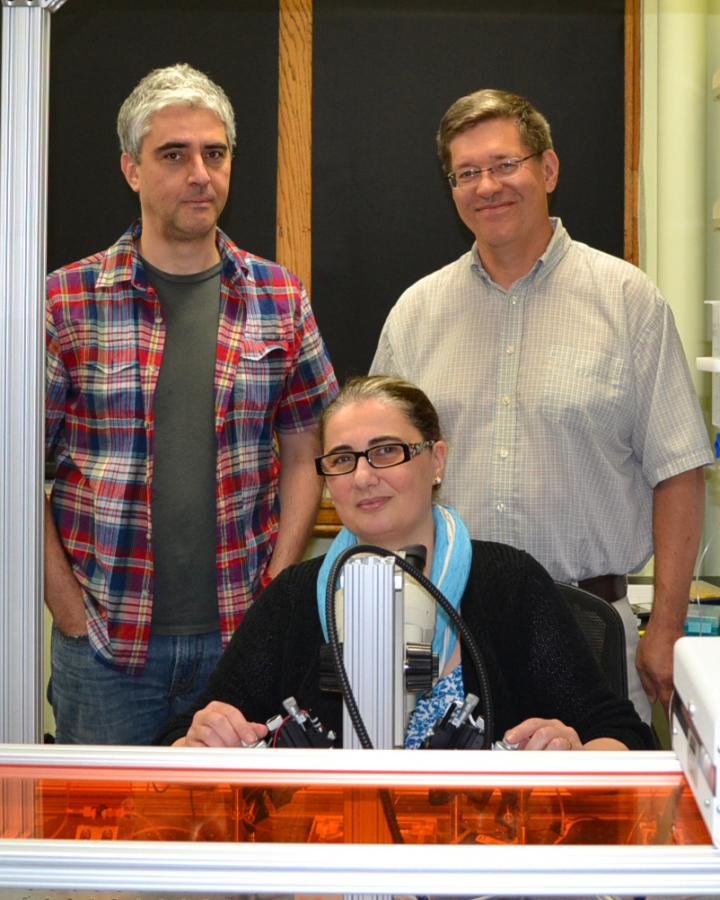 Lorin Milescu, Troy Zars and Mirela Milescu, University of Missouri-Columbia