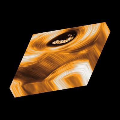 Human Bone Lamellae in 3D Orange on Black Background No Specs