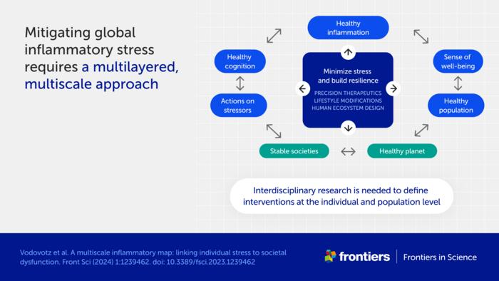 Mitigating global inflammatory stress requires a multilayered, multiscale approach