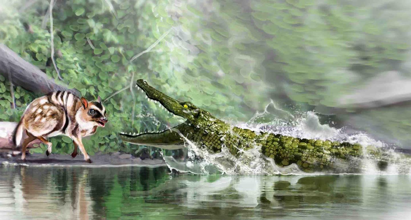 The Last 'Caimans' Living in Spain