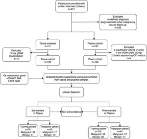 Study flow of subject enrollment and model generation