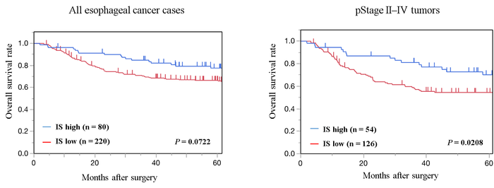 Fig.2