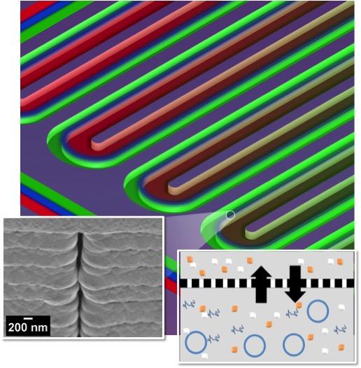 Microfluidic