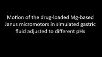 Drug-Delivering Micromotors Fueled by Stomach Acid