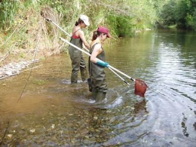 Scientists Collecting Specimens
