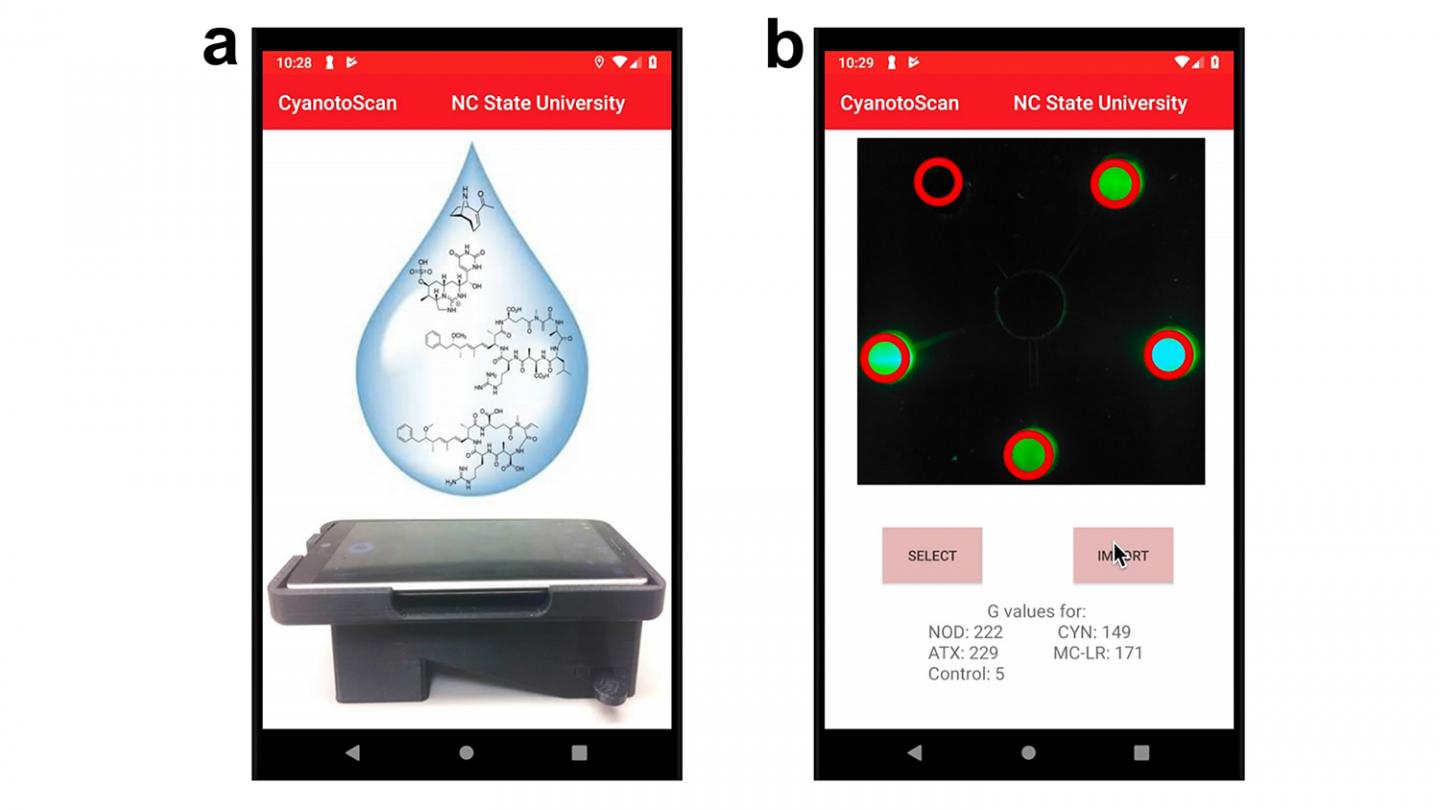 Portable Sensor for Detecting Cyanobacteria in Water