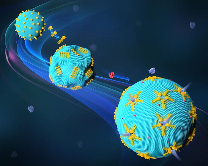 Reconfigurable DNA nanorobots that are working on the surface of synthetic cells.