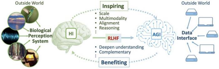 Human brain structure inspires artificial intelligence