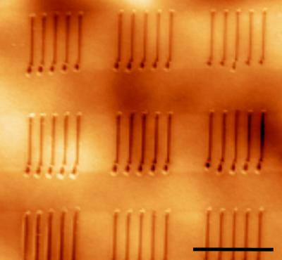 Ferroelectric nanostructures AFM