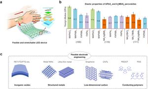 Figure 3. Typical application scenarios of flexible, stretchable LED device