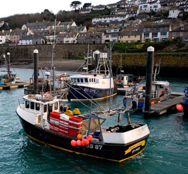 Newlyn fishers
