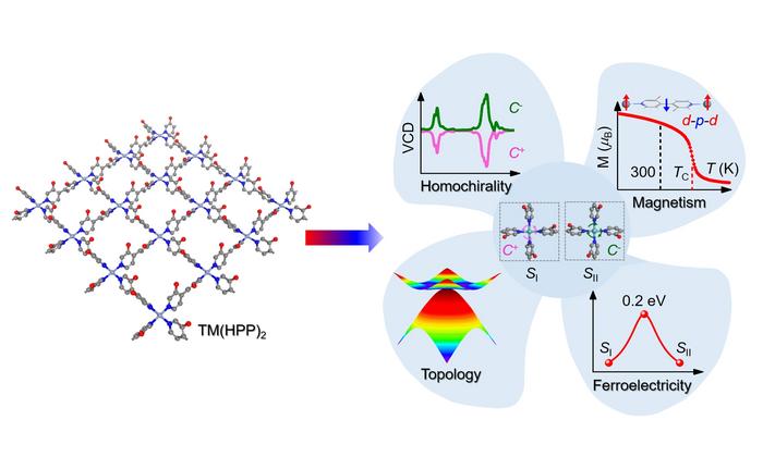 Newly Designed Chiral Organometallic Nanosheets Offer Room-Temperature Multiferroicity and Topological Features