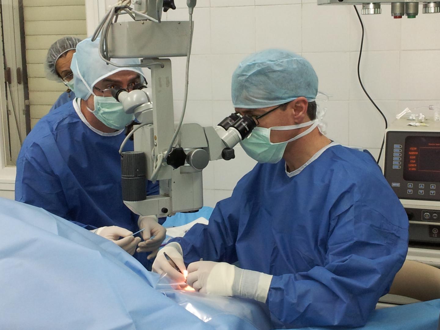 Hebrew U's Professor Ron Ofri and Hadassah's Dr. Edward Averbukh Operating on a Sheep