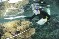 Researcher Surveying a Coral Reef in the Chagos Archipelago