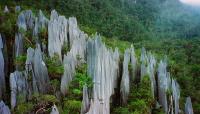 Pinnacles of Gunung Mulu
