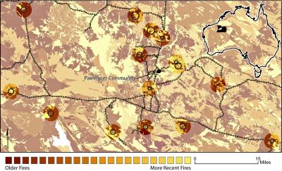 Patchy, Burned Landscape Helps Kangaroos