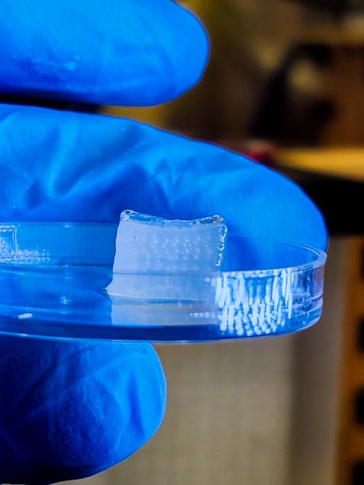 3D-bioprinted volumetric cartilage