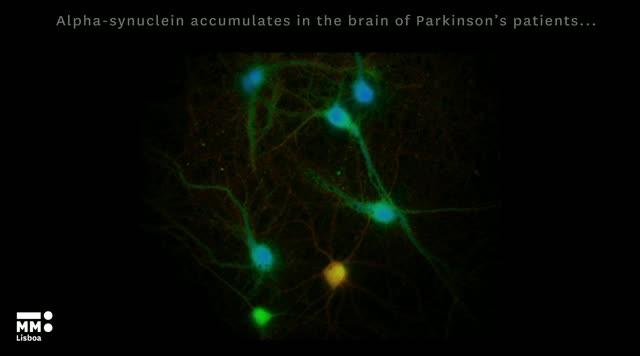 Novel Protein Interactions Explain Memory Deficits in Parkinson's Disease