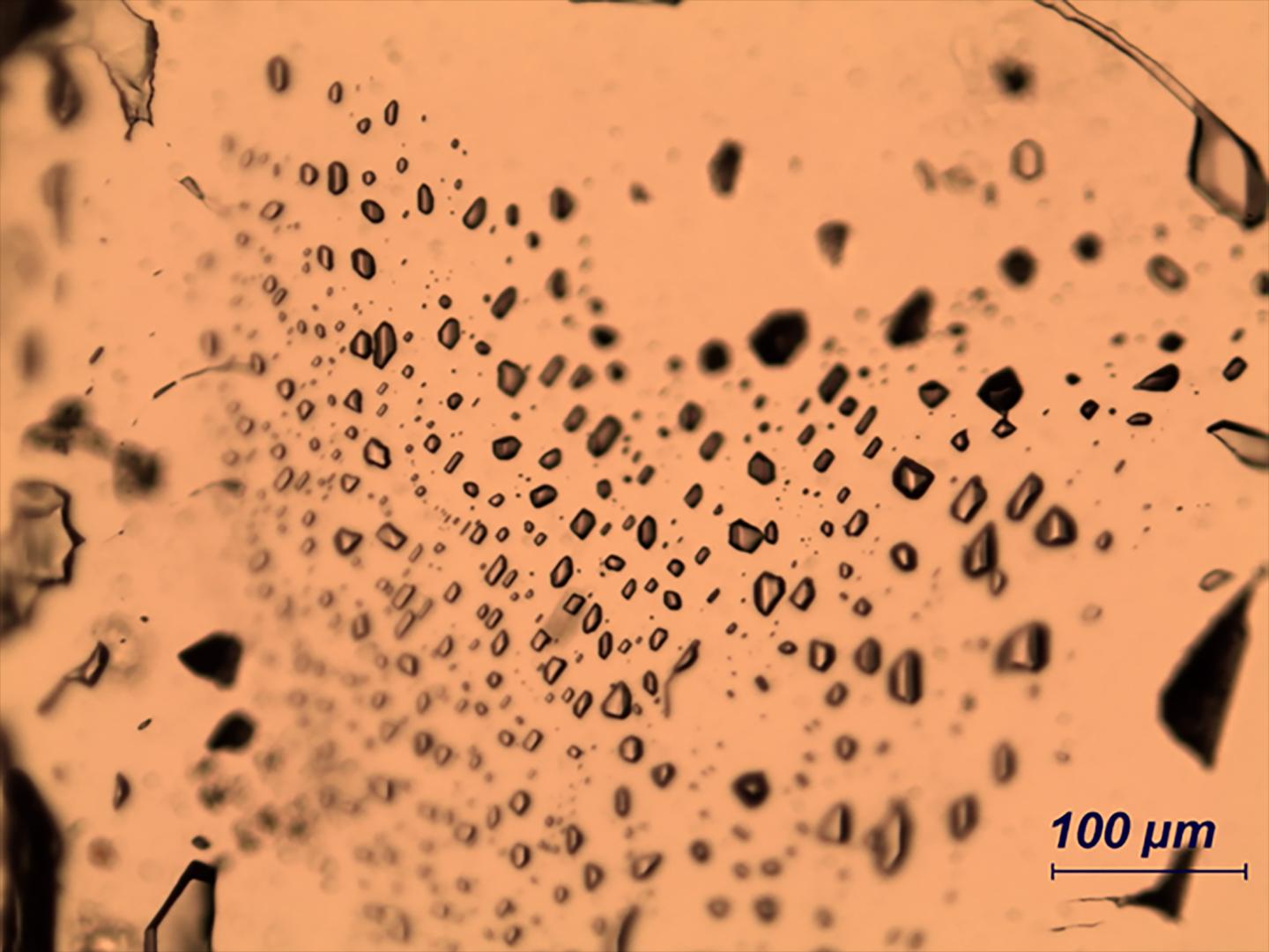 Fluid inclusions in minerals