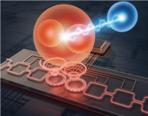 Fig. 1. The integrated photonic circuit for generation and manipulation of flying qudits.