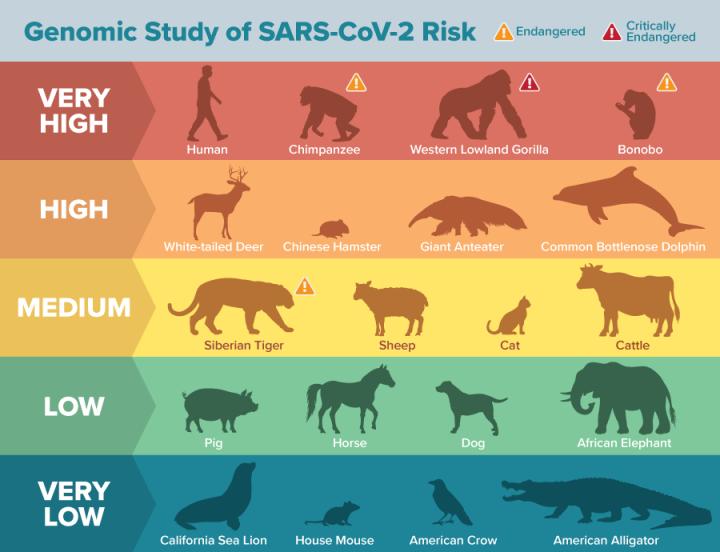 Genomic analysis reveals many animal species | EurekAlert!