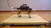 A Robot that Runs like a Cat