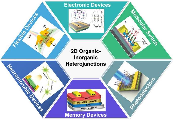 2D organic-inorganic heterojunctions for applications