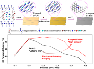 Researchers use fluorine-doping method to construct catalysts with enhanced performance