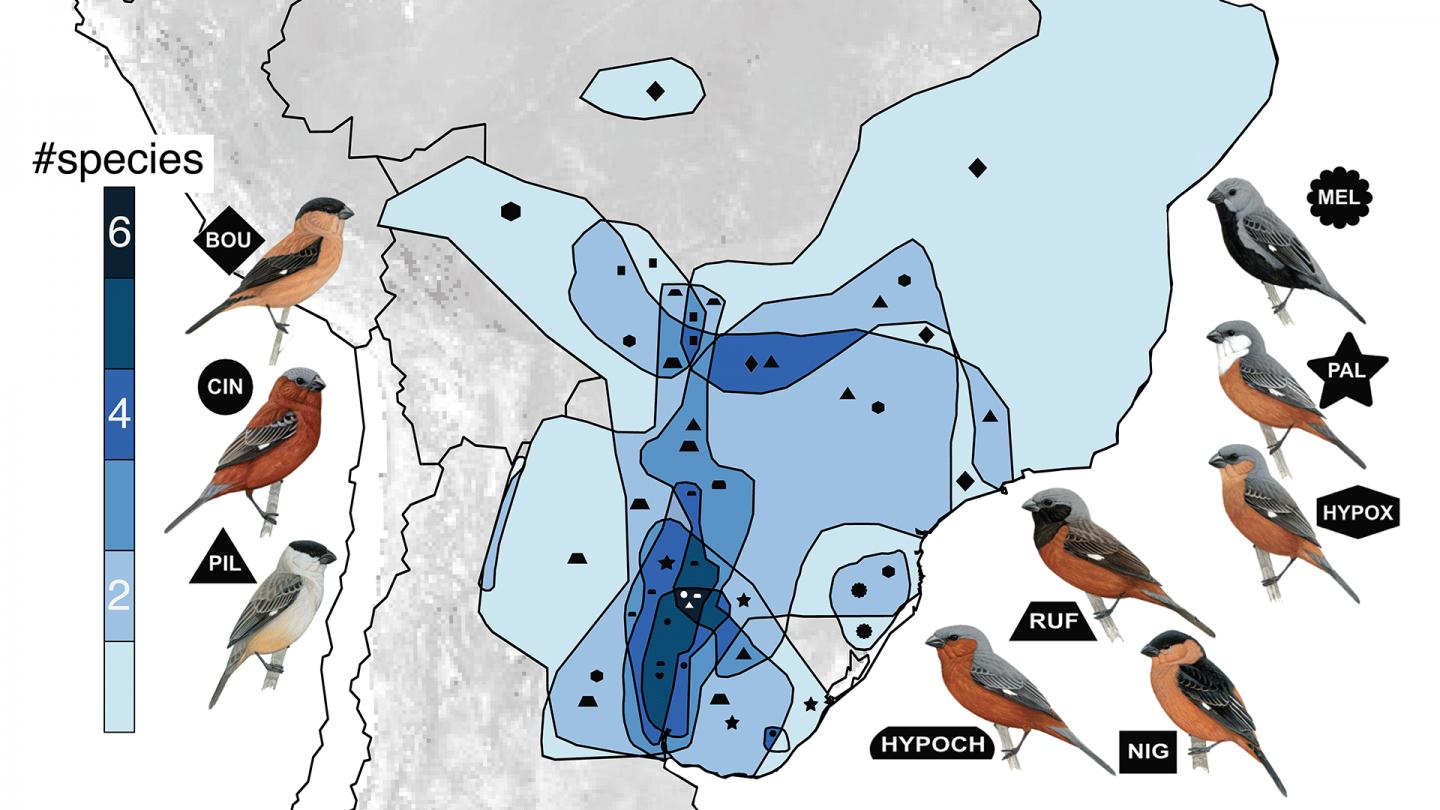 Map of capuchino seedeaters territory