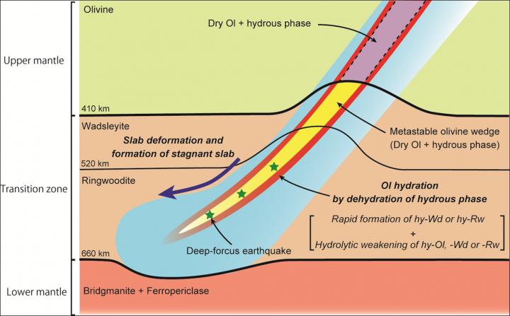 Slab deformation and formation of a stagnant slab in a wet descending slab