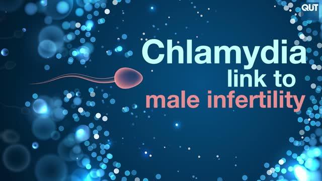 Chlamydia Link to Male Infertility