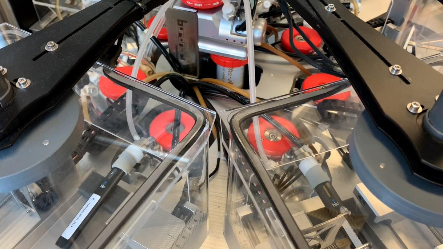 SAEIVS: the Smoke Aerosol In Vitro Exposure System