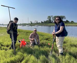 Wenxius Teng (left), Brian Yellen (center), and Qian Yu (right) sample salt marsh sediments at East River Marsh in Guilford, Connecticut.