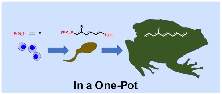 SCHEMATIC IMAGE OF this research