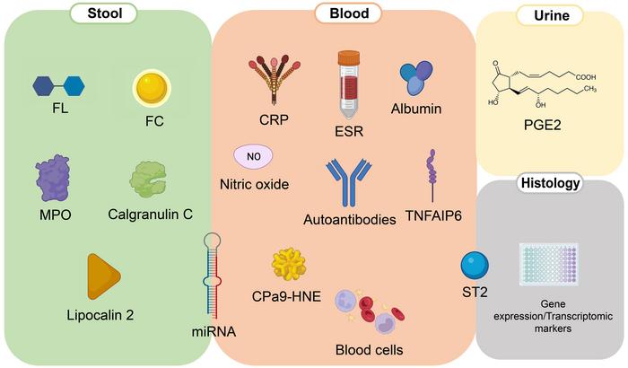 Summary of fecal, urinary, blood, and histologic biomarkers