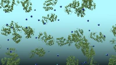 The Database Constructed at IPC PAS in Warsaw Contains Diffusion Coefficients for Complete Proteome 