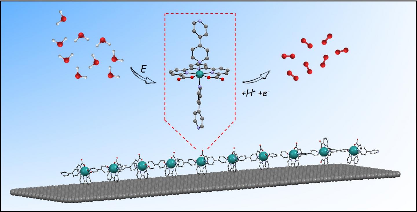 oligomeric catalyst