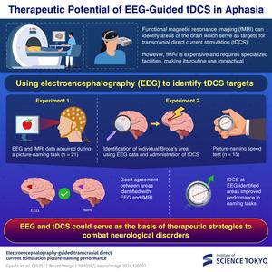 Therapeutic Potential of EEG-Guided tDCS in Aphasia