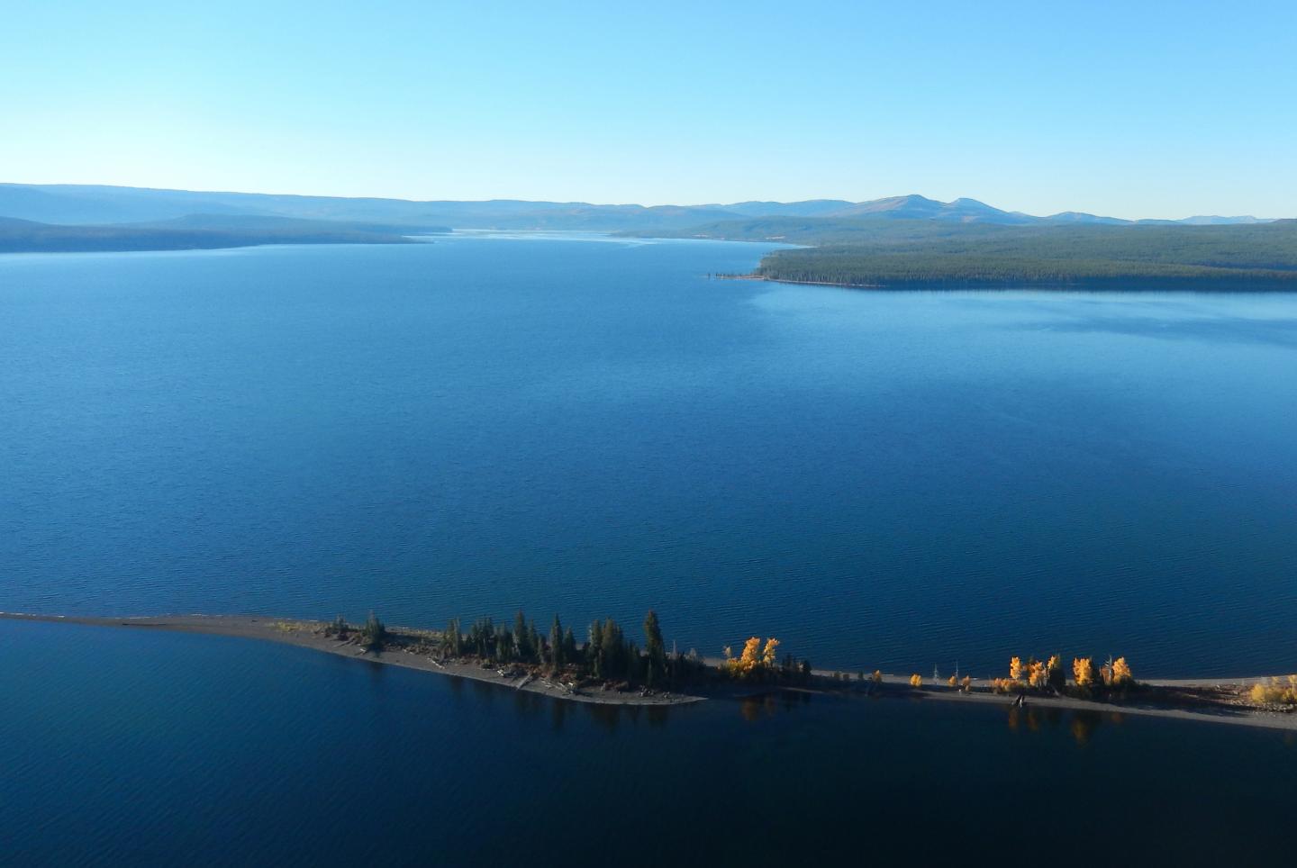 Invasion of Lake Trout in Yellowstone Changed Aquatic and Terrestrial Ecosystems (14 of 14)