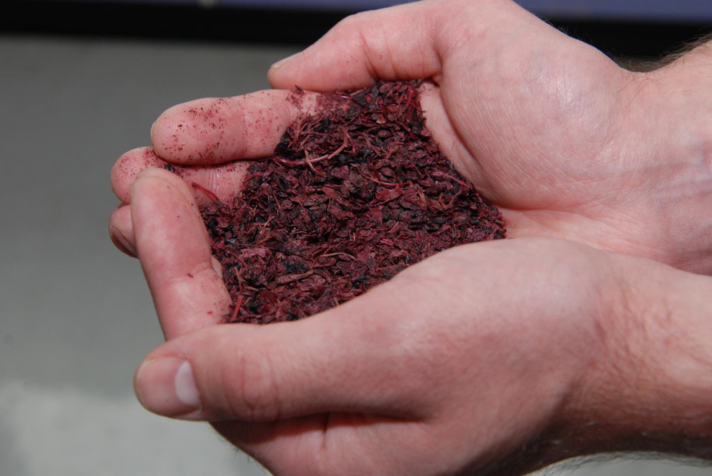 Blackcurrant Pomace May Lead to Increasing Bread's Fiber Content