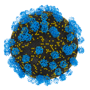 XMAN lipid nanoparticle