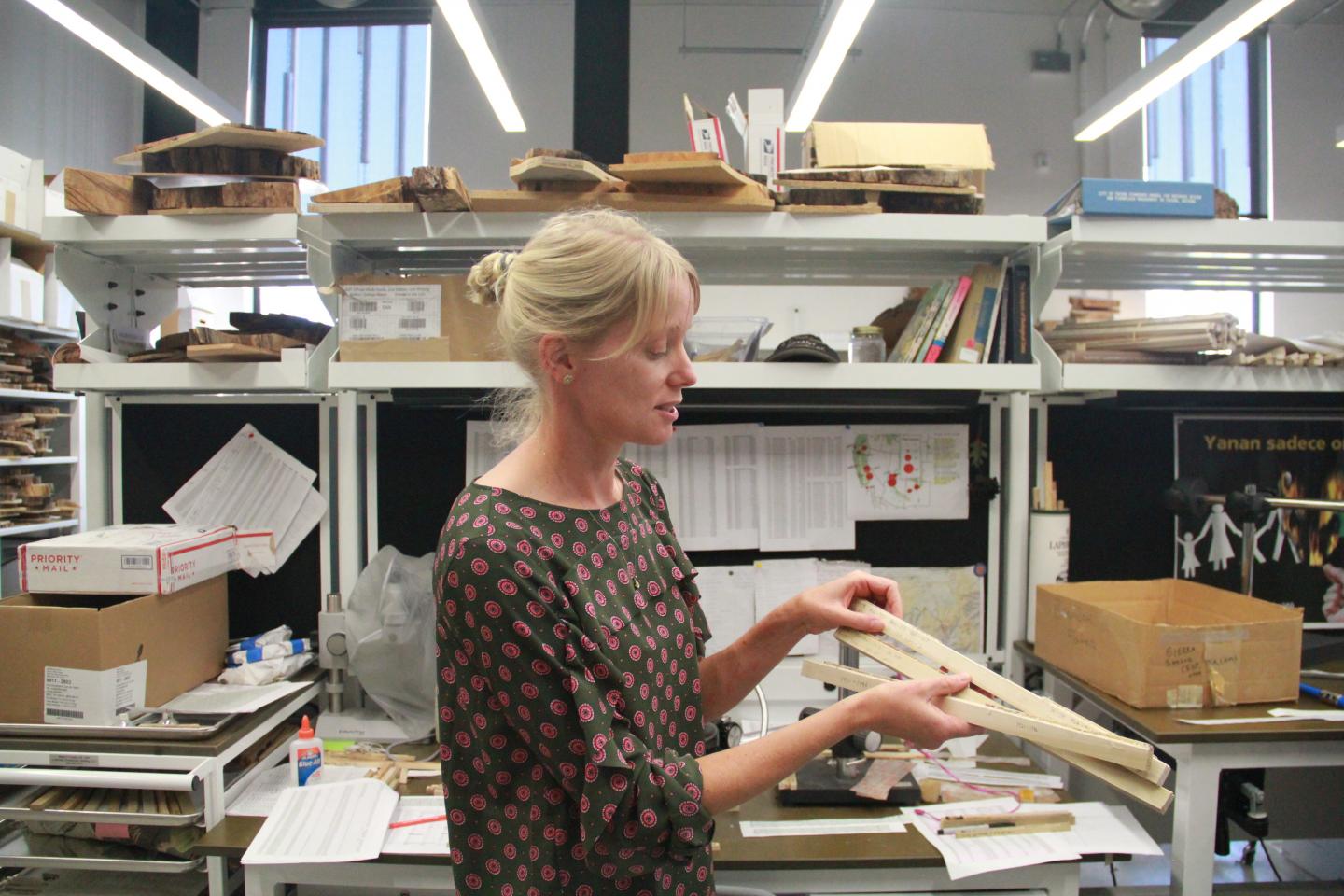 Tree-Ring Research and Forecasting Forest Productivity