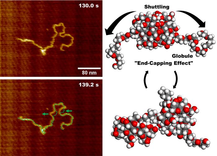 Molecular motion of PEG100k@α-CD polypseudorotaxane