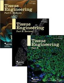 Tissue Engineering